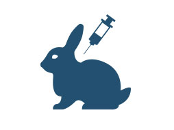 WeExoPlan conejos prevencion de enfermedades