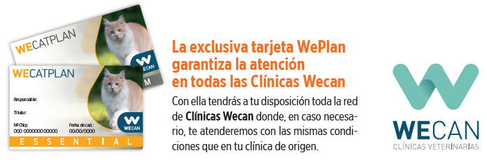 Tarjeta WeCatPlan