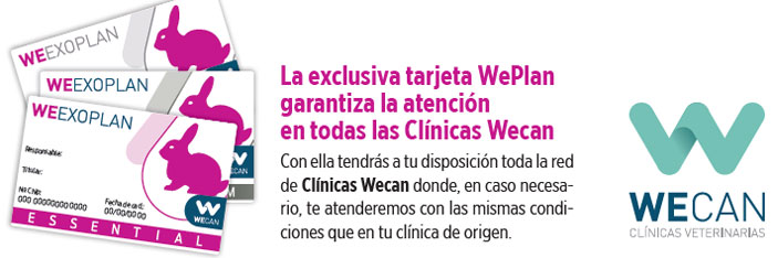 Tarjeta WeExoPlan conejos