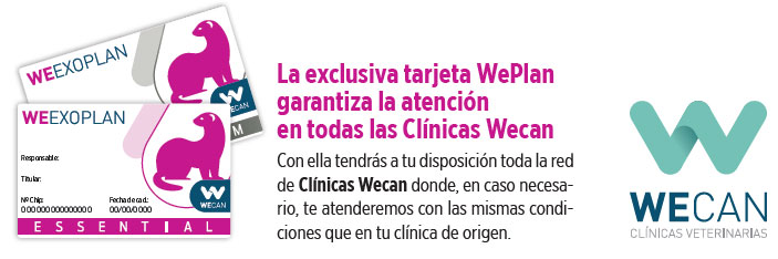 Tarjeta WeExoPlan hurones