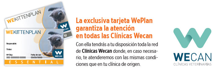 Tarjeta WeKittenPlan